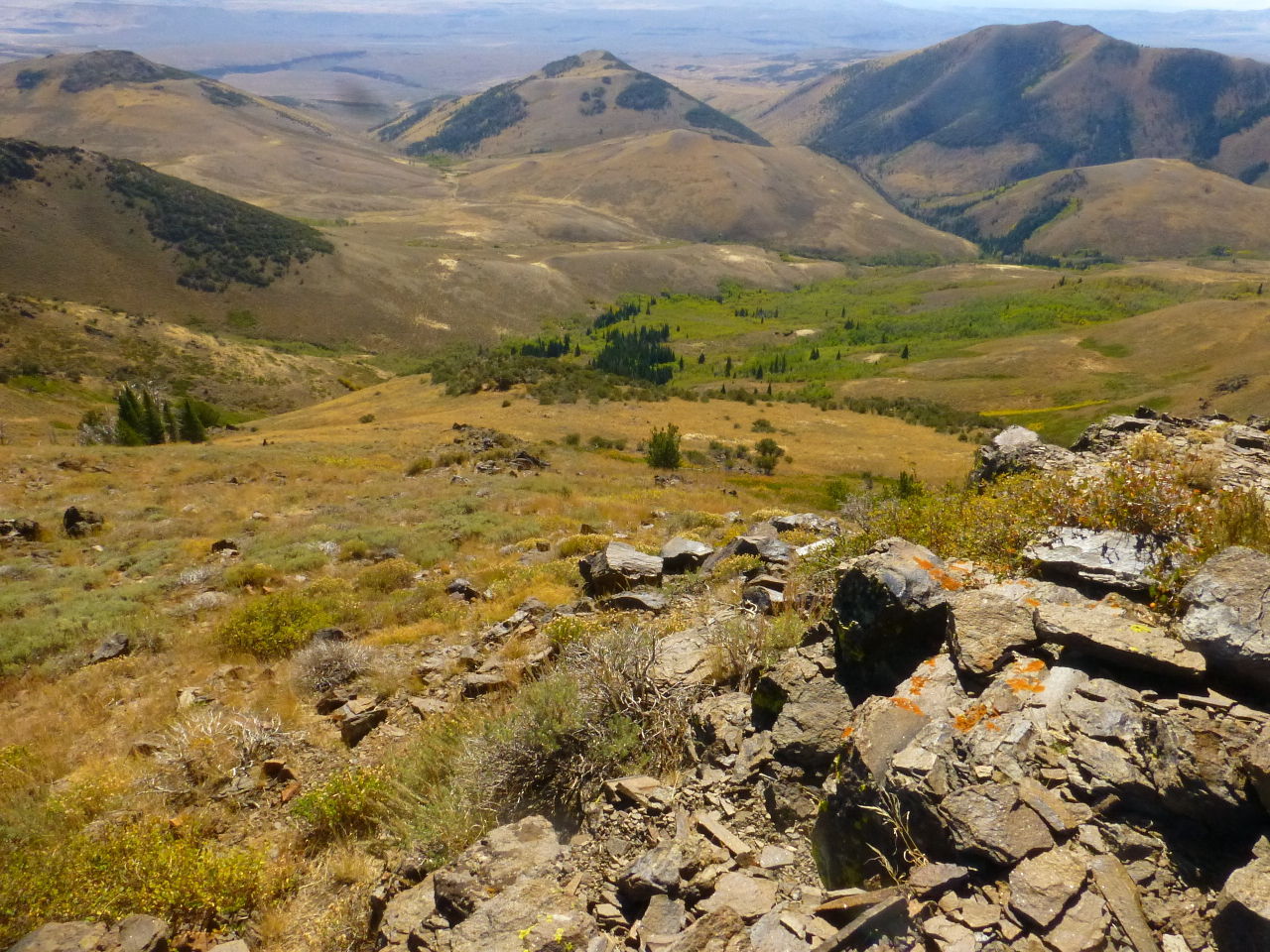 O'Neil Basin